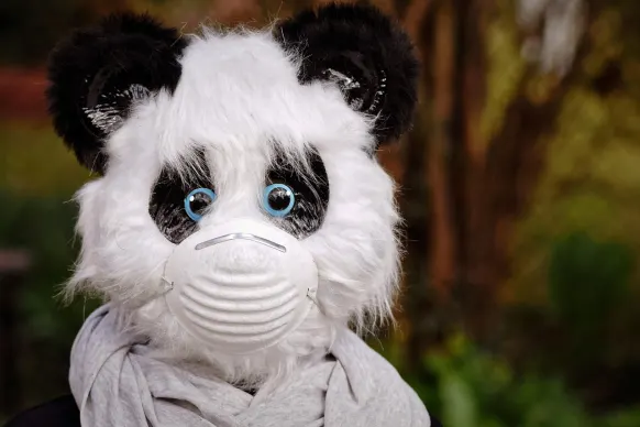 Rollers Kazino Atbalsts